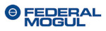 FEDERAL MOGUL